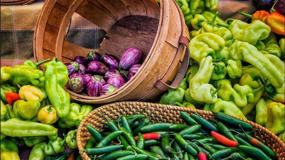 farm to table el paso