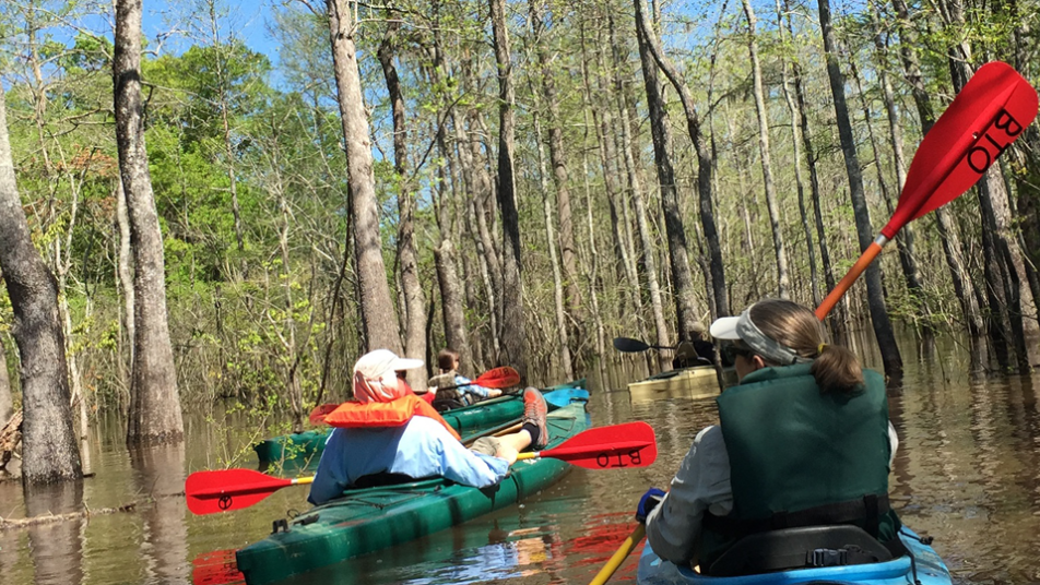 beaumont kayaking