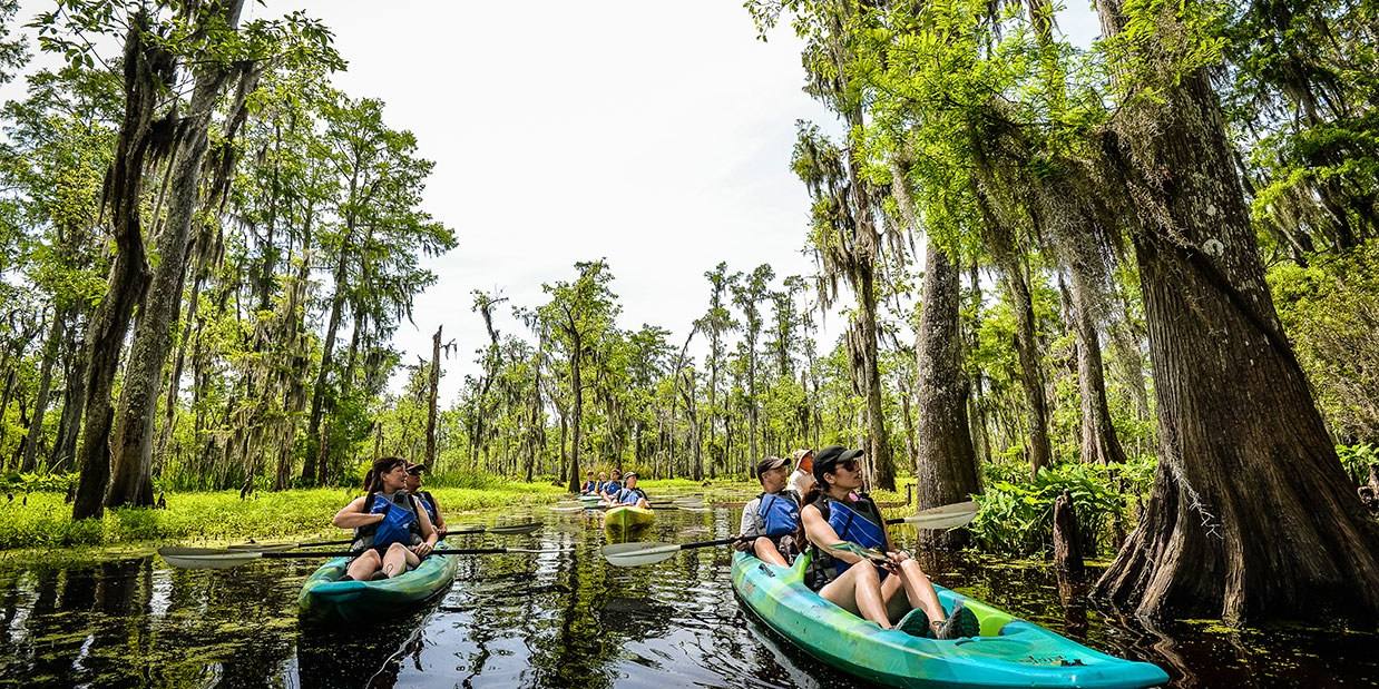 a group kayaking through the swamp