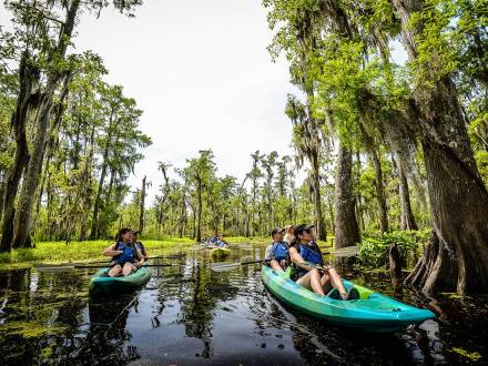 a group kayaking through the swamp