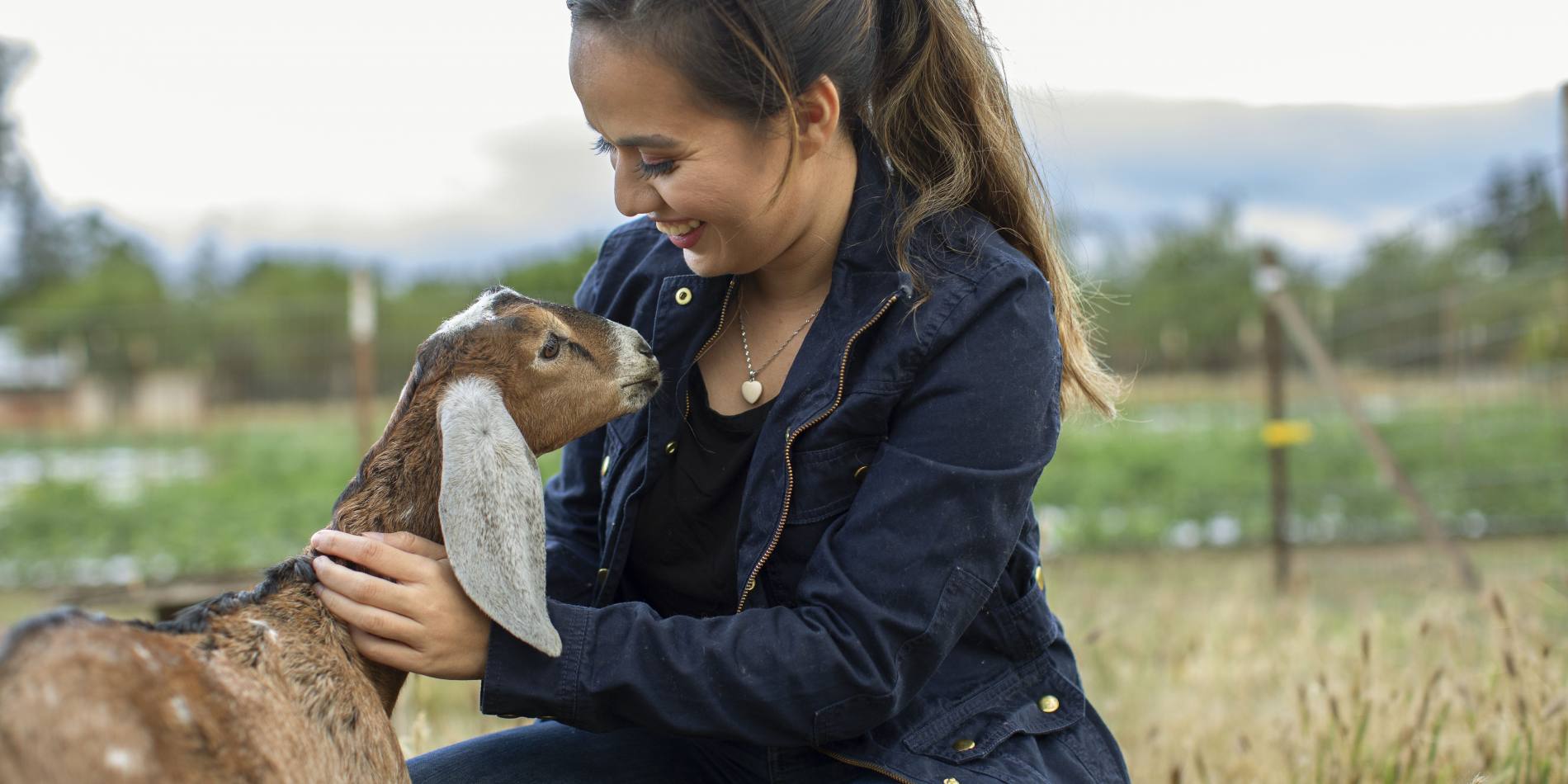 Vacaville soul farms