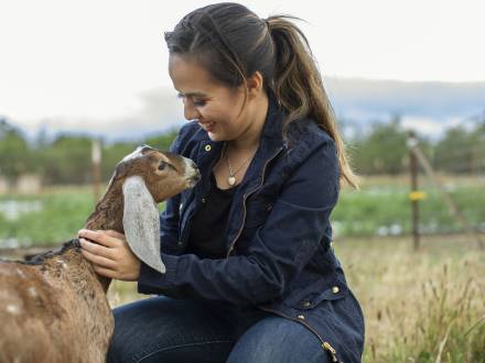 Vacaville soul farms