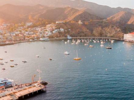Catalina Island Coastline