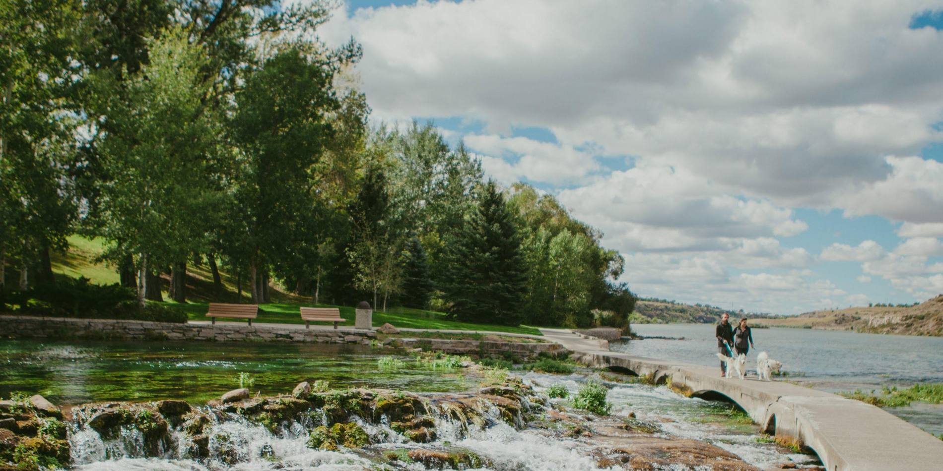 Man and woman walking dogs along a lake