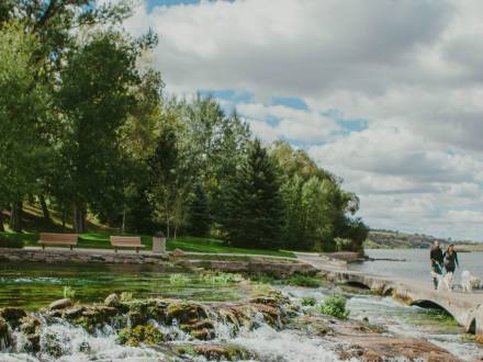 Man and woman walking dogs along a lake