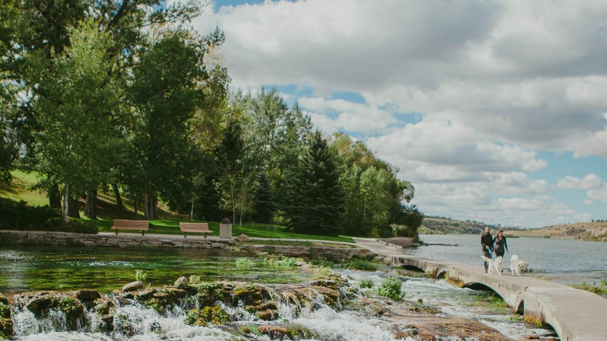 Man and woman walking dogs along a lake