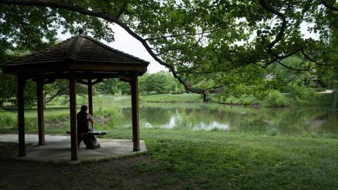 park in champaign county il