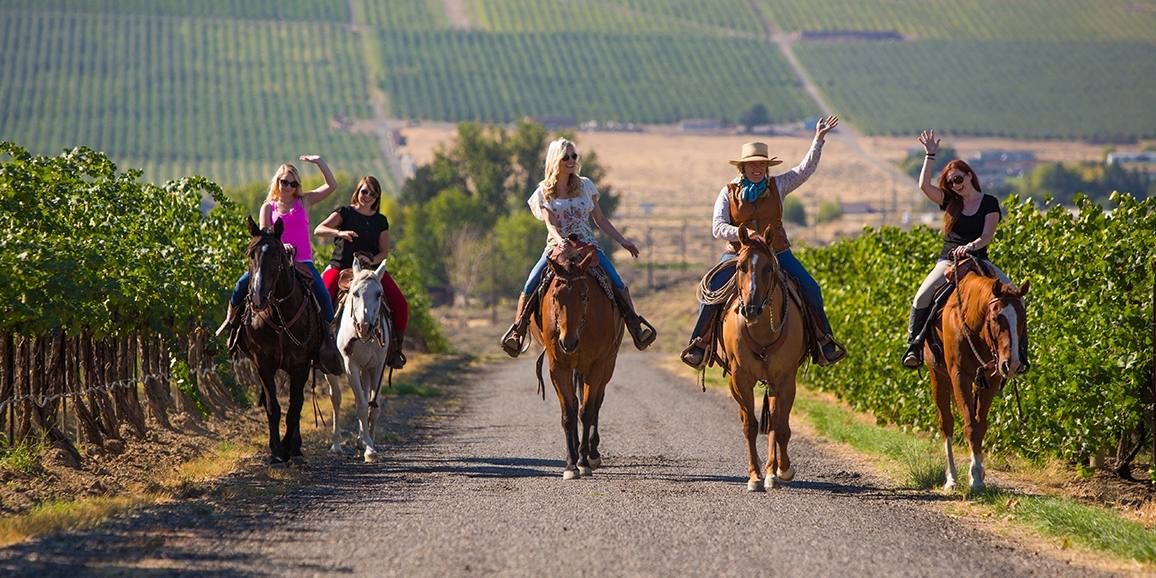 Tri Cities horseback