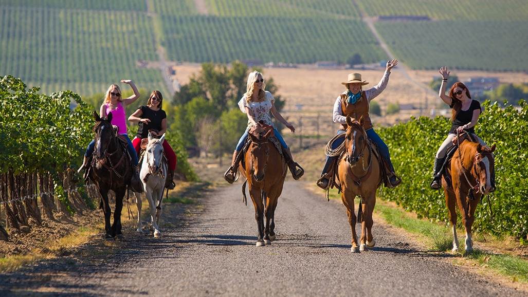 Tri Cities horseback