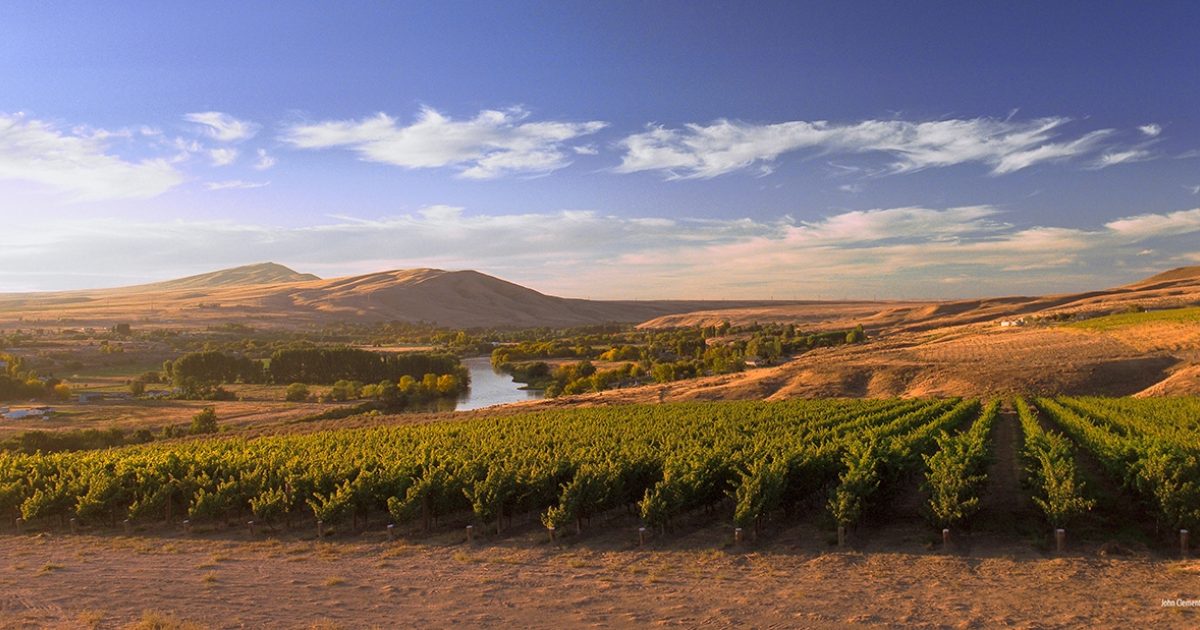 Escape in the Heart of Wine County when you visit TriCities