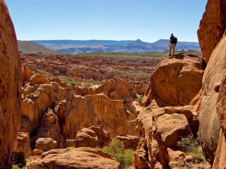 Red Cliffs National Conservation Area