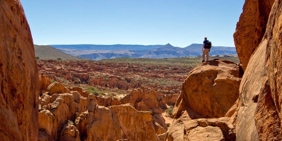 Red Cliffs National Conservation Area