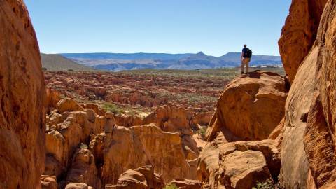 Red Cliffs National Conservation Area