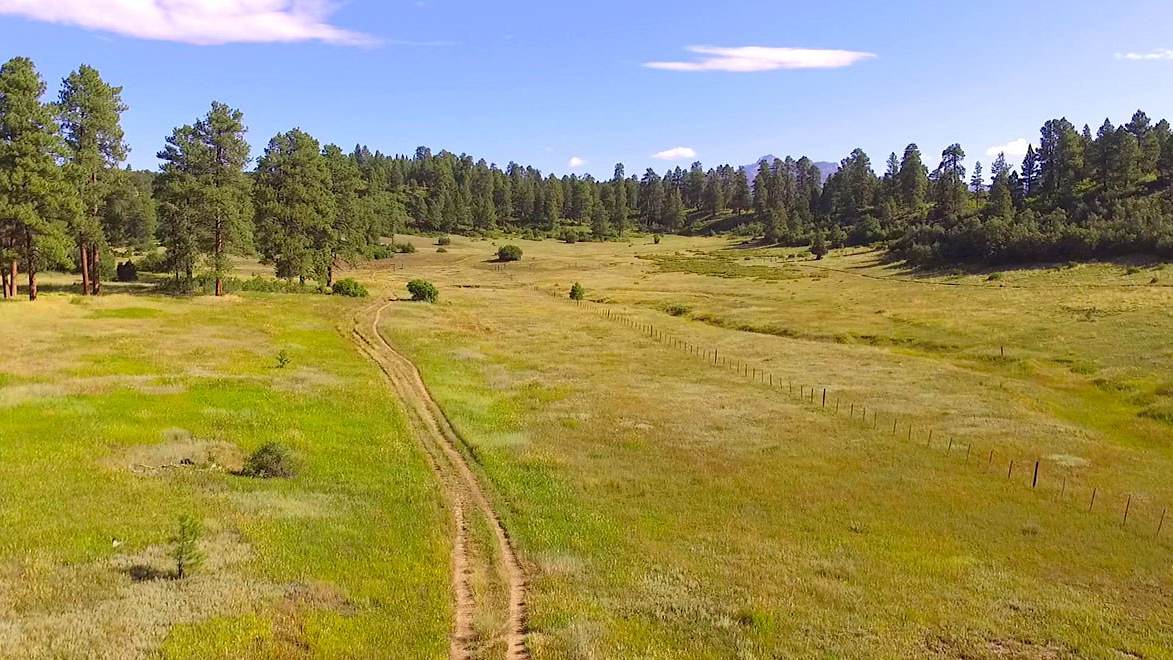 Cloman Park in Pagosa Springs has easy trails and is located next to the airport.